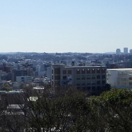 IMGP4103.JPG