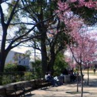 IMGP4108.JPG