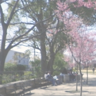 IMGP4108.JPG
