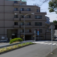 IMGP4109.JPG